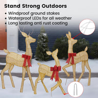 2D Lighted Reindeer Christmas Decorations Outdoor - Large 4FT Gold Deer Family Set with 115 LED Lights - Plug-in Waterproof Yard Decor with Separate Cords - Energy Saving Holiday Display 3 Pack