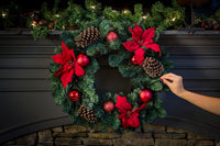 Scentsicles White Winter Fir Scented Christmas Tree Ornaments - 2 Bottles (12 Sticks Total)