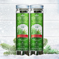 Scentsicles White Winter Fir Scented Christmas Tree Ornaments - 2 Bottles (12 Sticks Total)