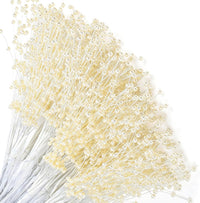 description_selected0