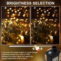 RPGT Christmas Light 1000 LEDs 336ft Green Cable Wire Fairy String Tree Twinkle Lights Plug in 12 Modes for, Outdoor, Garden, Wedding, Christmas Party, Home Decoration (Warm White)