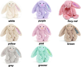 Plush Rabbit Embroidered with Child's Name Handmade Customized Plush Toys Children's First Companion Toys, Children's Welcome Baby Party, Birthday, Easter, Christmas, Thanksgiving Gifts