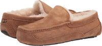 UGG Mens Ascot
