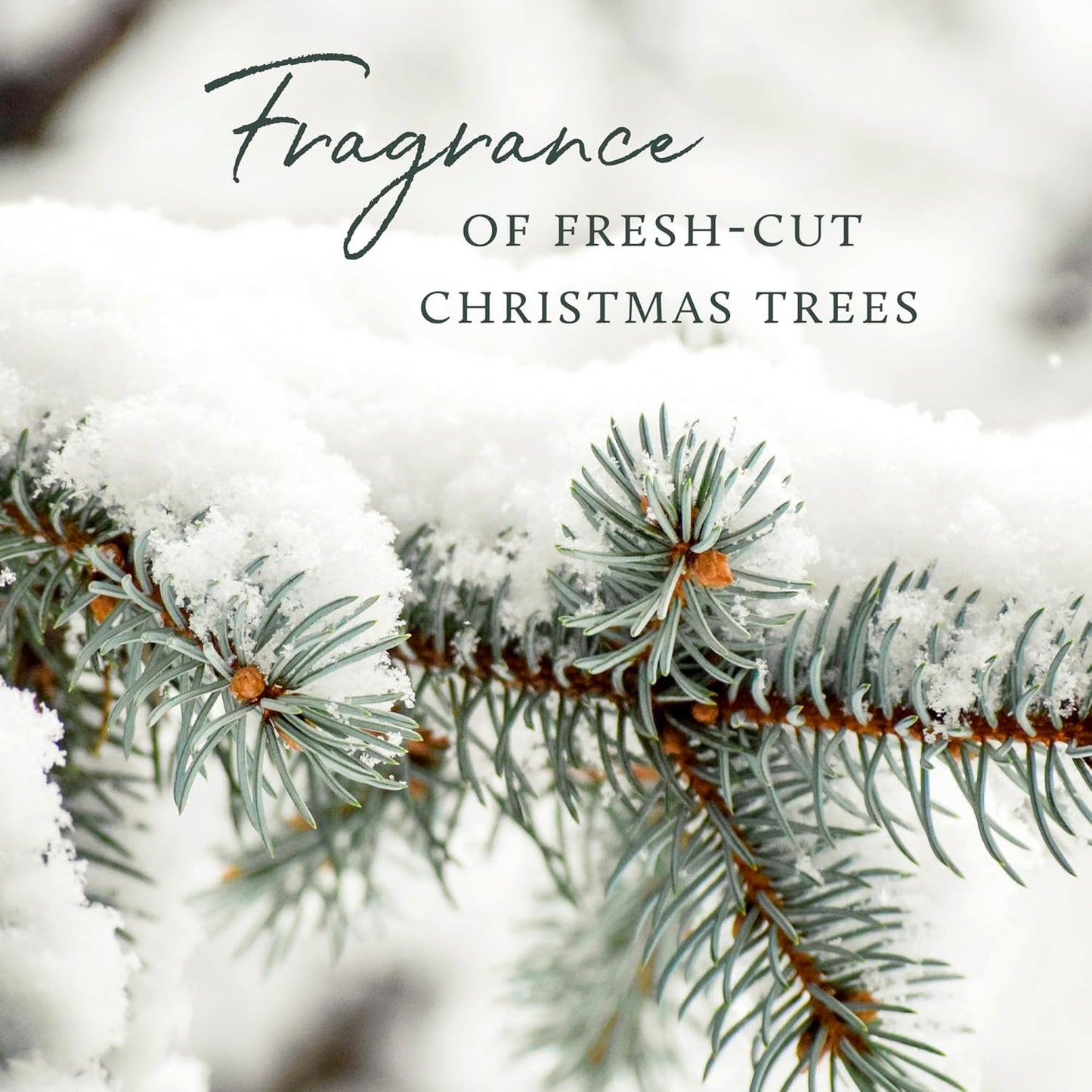 Thymes Frasier Fir Pura Car Diffuser – Pura Car Air Freshener with Refill – Frasier Fir Diffuser Refill with Notes of Crisp Siberian Fir Needles, Cedarwood & Sandalwood