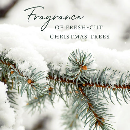 Thymes Frasier Fir Pura Car Diffuser – Pura Car Air Freshener with Refill – Frasier Fir Diffuser Refill with Notes of Crisp Siberian Fir Needles, Cedarwood & Sandalwood