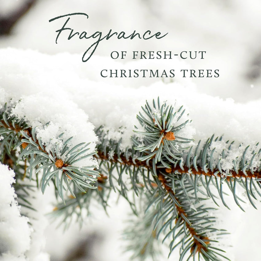 Thymes Frasier Fir Pura Car Diffuser – Pura Car Air Freshener with Refill – Frasier Fir Diffuser Refill with Notes of Crisp Siberian Fir Needles, Cedarwood & Sandalwood
