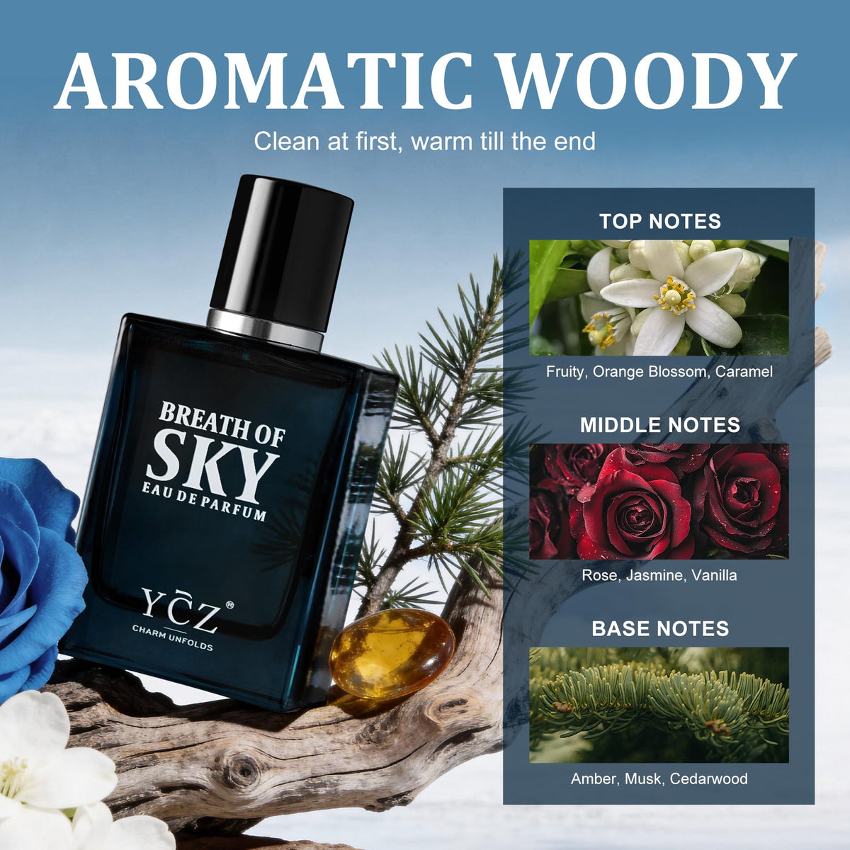 Ycz Midnight Marine Eau de Parfum for Men, 1.7 Fl Oz (50 mL), Long-Lasting Cologne, Fresh Marine & Woody Fragrance with Grapefruit, Ginger and Cedar Notes for Daily Wear, Date Night and Gifts