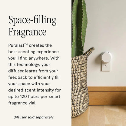 PuraHome Scent Refill - Smart Home Air Diffuser - Up to 120-Hours of Luxury Fragrance per Refill - Home Essential - Clean & Safe Diffuser Fragrance - 2 Pack, Cozy Cashmere