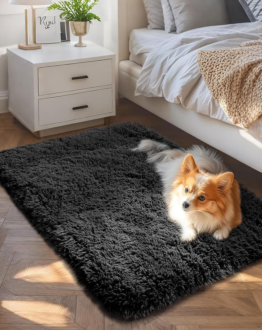 Ophanie Area Rugs for Living Room Bedroom, Upgrade Non-Slip Fluffy Soft Grey Shag Carpet, Indoor Floor Gray 4x6 Fuzzy Shaggy Living Room Plush Rug for Kids Home Dorm Decor Aesthetic