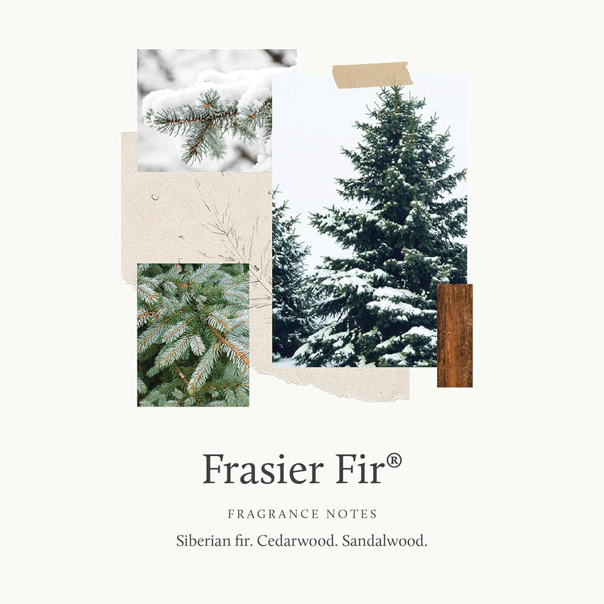 Thymes Frasier Fir Pura Car Diffuser – Pura Car Air Freshener with Refill – Frasier Fir Diffuser Refill with Notes of Crisp Siberian Fir Needles, Cedarwood & Sandalwood