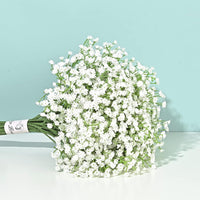 description_selected0