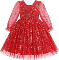 IMEKIS Toddler Kids Girls Tulle Dress Floral Embroidery Sparkly Wedding Party Long Sleeve Fall Photo Shoot Outfit 2-8T