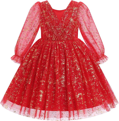 IMEKIS Toddler Kids Girls Tulle Dress Floral Embroidery Sparkly Wedding Party Long Sleeve Fall Photo Shoot Outfit 2-8T