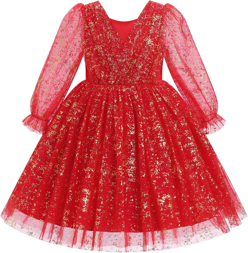 IMEKIS Toddler Kids Girls Tulle Dress Floral Embroidery Sparkly Wedding Party Long Sleeve Fall Photo Shoot Outfit 2-8T