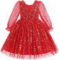 IMEKIS Toddler Kids Girls Tulle Dress Floral Embroidery Sparkly Wedding Party Long Sleeve Fall Photo Shoot Outfit 2-8T