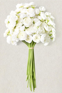 description_selected0