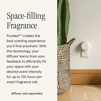 Pura & Unify Co. Home Scent Refill - Smart Air Diffuser - Up to 120-Hours of Luxury Fragrance per Refill - Home Essential - Clean & Safe Diffuser Fragrance - 2 Pack, Salt