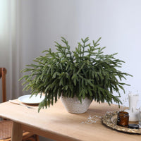 YXZZWL 16 Pcs Christmas Norfolk Pine Branches, 18 Inch Real Touch Artificial Norfolk Pine Branch Faux Cedar Pine Stem Fake Greenery Picks for Vase DIY Garland Wreath Home Decoration