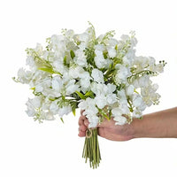 description_selected0