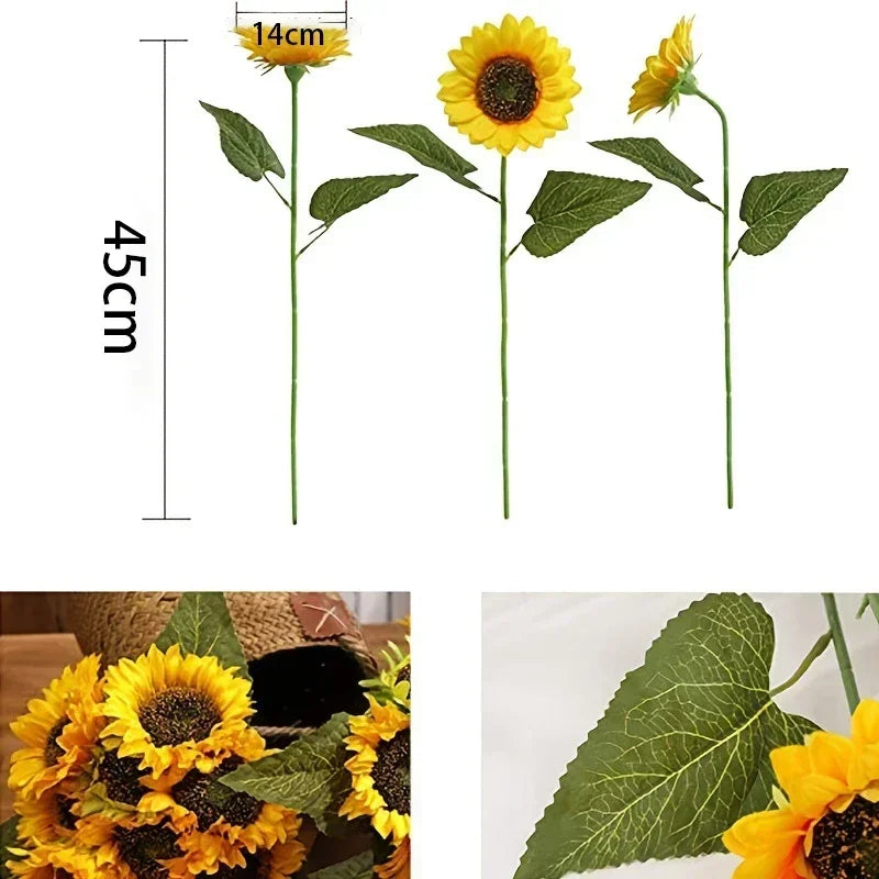 description_selected2
