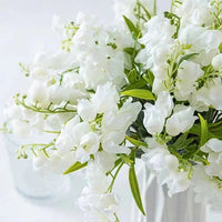 description_selected4