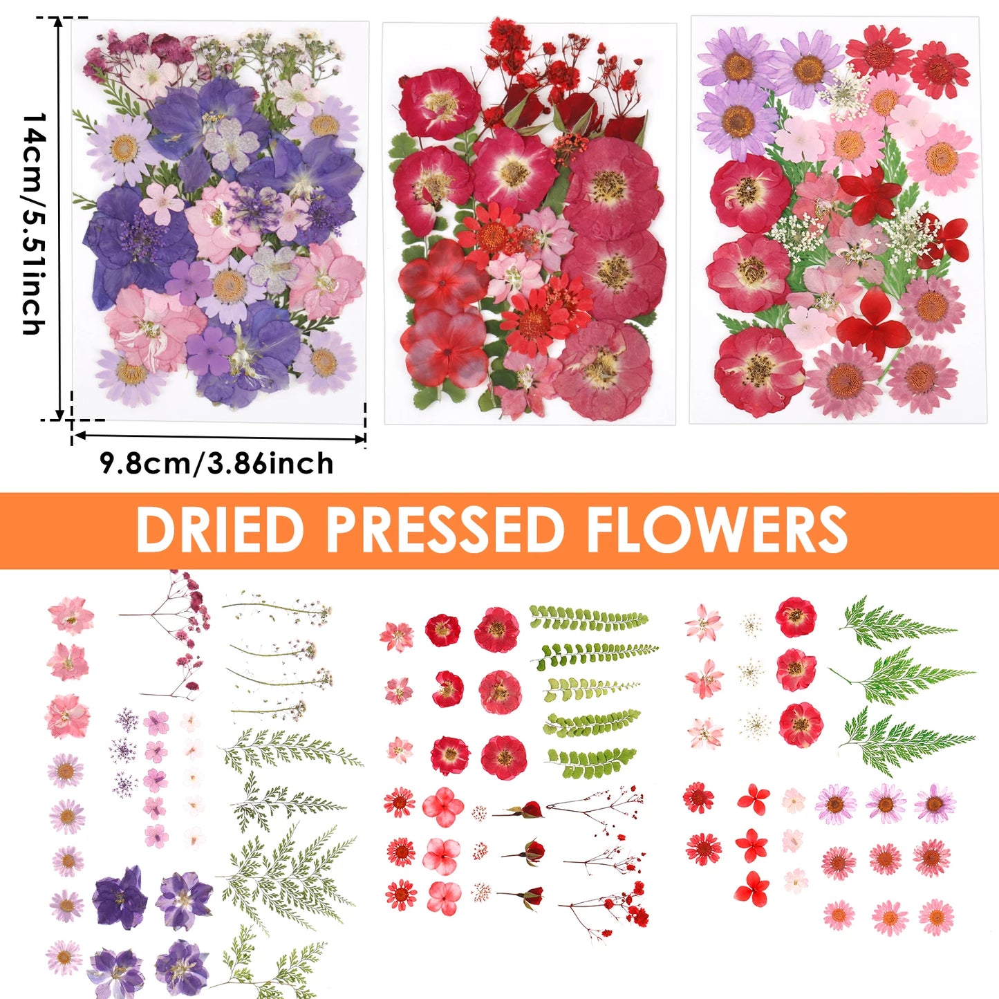 description_selected1