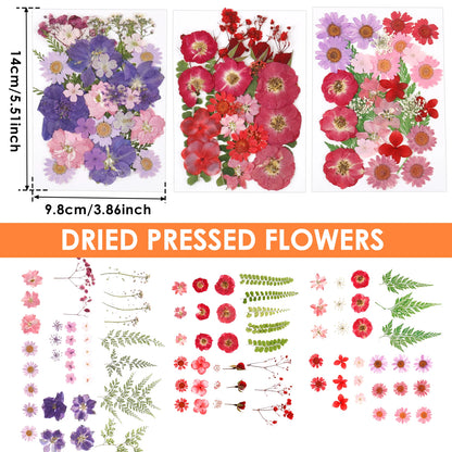 description_selected1