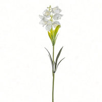 description_selected1