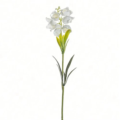 description_selected1