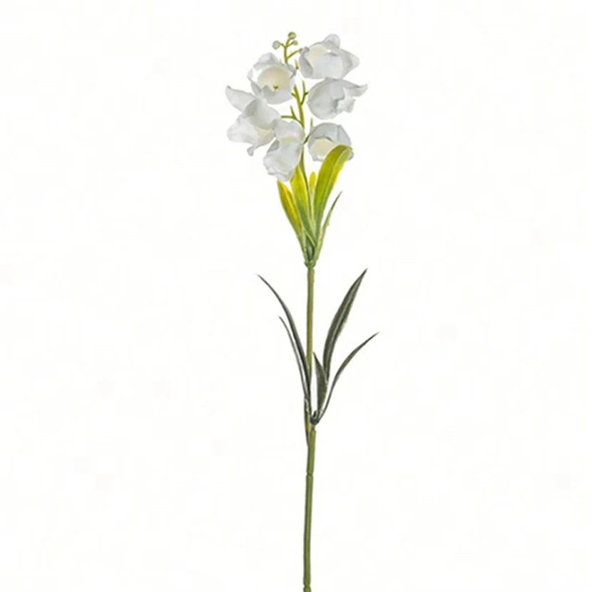 description_selected1