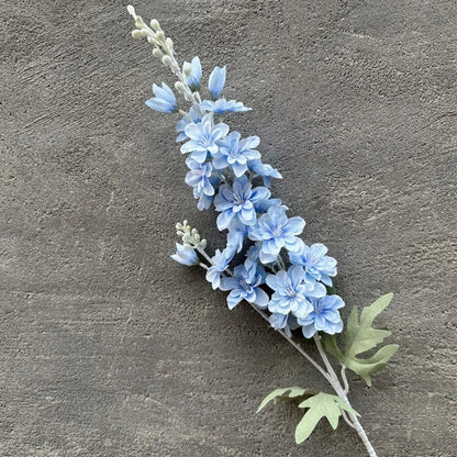 Variant Image