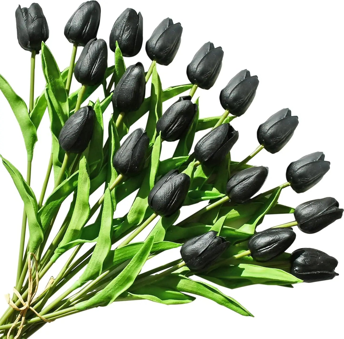Variant Image