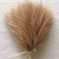 Variant Image