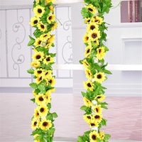 description_selected2
