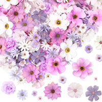 description_selected1