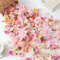 description_selected4