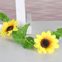 description_selected4