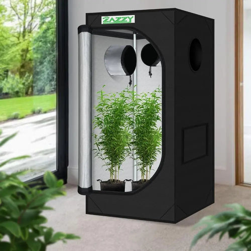 description_selected1