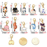 description_selected3