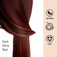 Black 3 - in - 1 Hair Dye for Men & Women - Long - Lasting Gray Hair Coverage, Shampoo Para Canas, Natural Color in Minutes - 16.9 Fl Oz - 7DAY'S