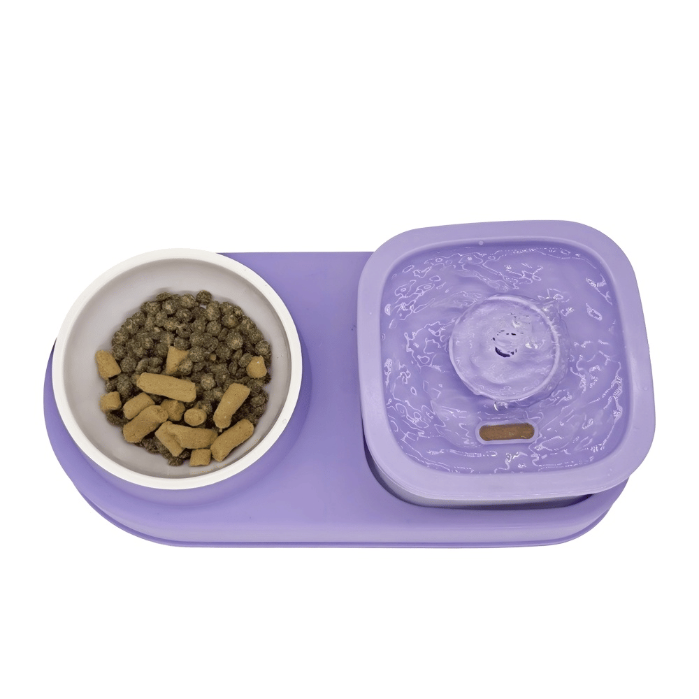 Cat Water Dispenser and Feeding Bowl 2 - in - 1, Dry and wet separation automatic water dispenser Sturdy cat feeding bowl Cat and dog feeding supplies easy to clean flow design Christmas gift - 7DAY'S