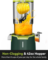 Cold Press Juicer, LINKChef Slow Masticating Juicer Machines with No - Prep 4.35" Large Feed Chute & Upgraded Auger for Whole Vegetables and Fruits, 42oz Capacity, Easy to Clean, Light Green - 7DAY'S