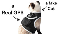 Collar Clipped GPS Cat Tracker Enhanced Realtime Wireless Pet Locator Size:XL - 7DAY'S