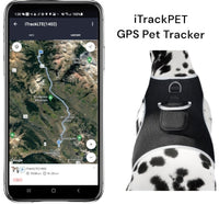 Collar Clipped GPS Cat Tracker Enhanced Realtime Wireless Pet Locator Size:XL - 7DAY'S