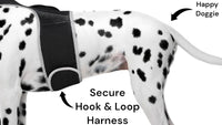 Collar Clipped GPS Cat Tracker Enhanced Realtime Wireless Pet Locator Size:XL - 7DAY'S