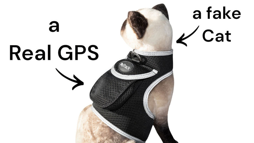 Collar Clipped GPS Cat Tracker Enhanced Realtime Wireless Pet Locator Size:XL - 7DAY'S