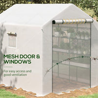 Mini Walk-in Greenhouse ( Amazon Shipping)(Prohibited by WalMart)