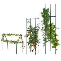 3 Pack Tomato Cage Set, 72 Inch DIY Tomato Plant Support Trellis, Tomato Trellis for Climbing Vegetables, Flowers and Fruits, Dark Green