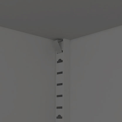 494561981