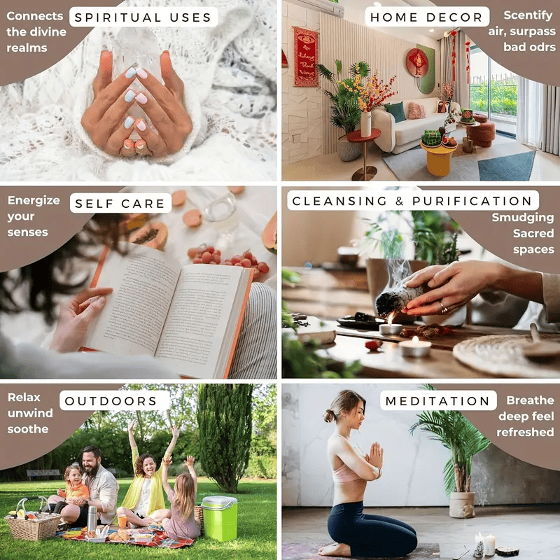 6 Fruit Flavors Incense Sticks, with Rich Fruity Aromas such as Cantaloupe, Strawberry, Watermelon, etc., 25.5cm/ 10.04in, Perfect for Yoga, Meditation,and Enhancing Party Atmosphere - 102pcs